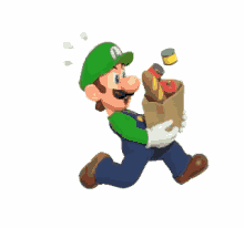 busy working grocery shopping bags luigi