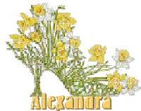 Alexandra Alexandra Name Sticker - Alexandra Alexandra Name Shoe Stickers