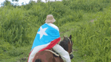 arroyo productions farm horse flag