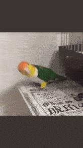 a green and yellow parrot standing on top of a newspaper with chinese writing on it