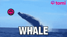 Whale Crypto GIF - Whale Crypto Tomi GIFs