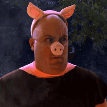 Anxious Pig GIF - Anxious Pig Nate Morse GIFs