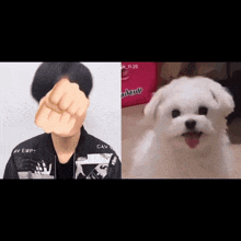 a man with a fist in front of his face and a small white dog with its tongue out