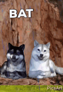 This Is For Bat Domi GIF - This Is For Bat Domi I Love You GIFs