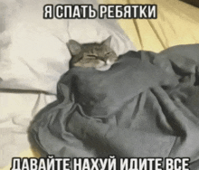 идите нахуй я спать GIF - идите нахуй я спать мемы с котами GIFs