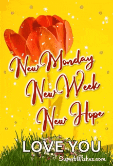 a yellow card with a red flower and the words " new monday new week new hope love you "