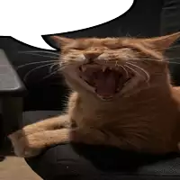 a cat is yawning with its mouth open and its tongue sticking out