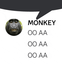 Monkey GIF