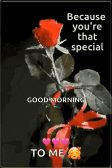 because you 're that special , good morning to me !