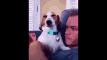 Sus Sussy GIF - Sus Sussy Dog GIFs