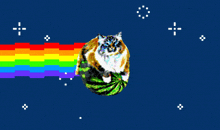 a pixel art of a cat with a watermelon on its back