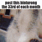 a close up of a person 's face with the words `` post this binturong the 33rd of each month ''