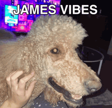 James Happy Birthday James GIF - James Happy Birthday James GIFs
