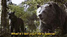 The Jungle Book Baloo GIF - The Jungle Book Baloo Whatd I Tell You Hes Special GIFs