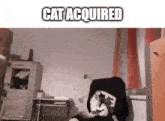 a cat is sitting in a chair in a room with the words `` cat acquired '' written on the bottom .
