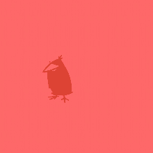 Robin Red Bird GIF - Robin Red Bird Funny GIFs