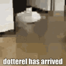 Dotterel Brawlhalla GIF - Dotterel Brawlhalla Has Arrived GIFs