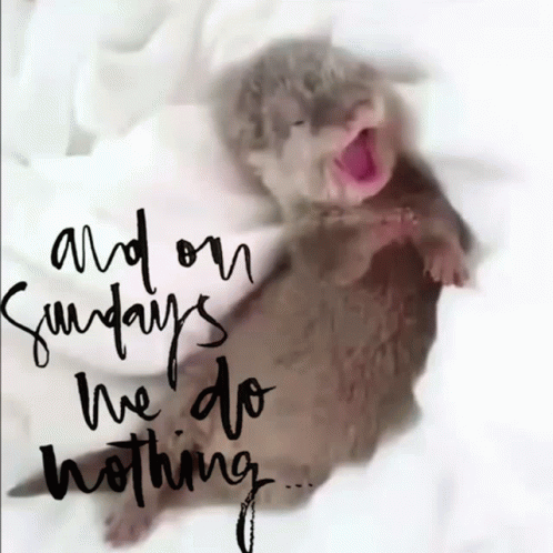 untitled.gif