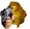 a person is holding a gun in front of a cheems dog .