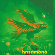 a colorful painting of a bird with the word hnsamona in the corner