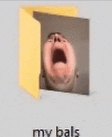 a folder with a picture of a person with their mouth open and the words `` my bals '' written on it .