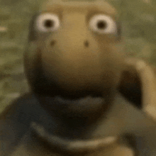 a close up of a turtle 's face with a surprised look on his face .