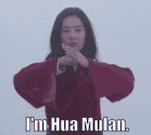 Mulan Hua Mulan GIF - Mulan Hua Mulan Yifei Liu GIFs