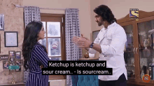 Sour Cream Ketchup Is Ketchup GIF - Sour Cream Ketchup Is Ketchup Not Better GIFs