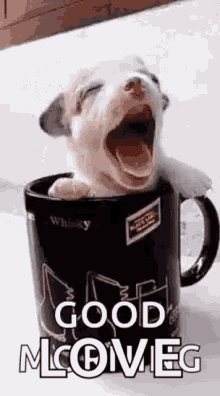 Puppy Cup GIF - Puppy Cup Good GIFs