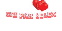 the word selex is on a white background with two hearts