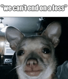 a picture of a dog with the words " we can 't end on a loss "
