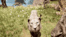 Far Cry Primal Cavelion GIF - Far Cry Primal Far Cry Cavelion GIFs