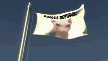 Deepfriedwoomy Bingus GIF - Deepfriedwoomy Bingus Flag GIFs