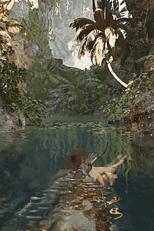 Tomb Raider Lara Croft GIF - Tomb Raider Lara Croft Swim GIFs