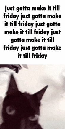 Friday Just Gotta Make It Till Friday GIF - Friday Just Gotta Make It Till Friday Cat GIFs