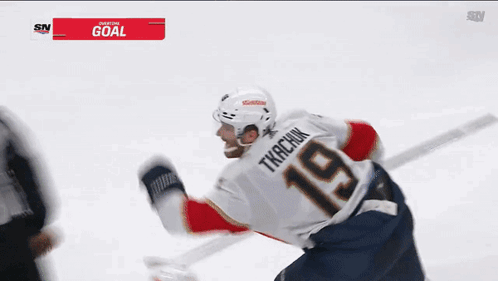 Florida Panthers Lets Go Panthers GIF - Florida Panthers Lets Go