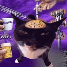 a cat is being injected with a syringe that says mercury on it