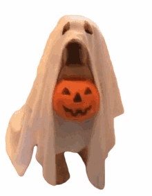 costume halloween
