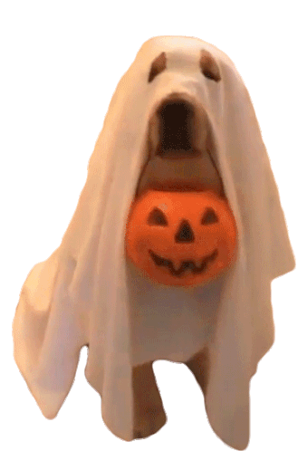 Trick Or Treat Halloween Sticker - Trick Or Treat Halloween Ghost Dog Stickers