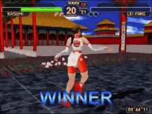 Dead Or Alive Video Games GIF - Dead Or Alive Video Games Winner GIFs