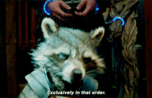 Rocket Raccoon Exclusively In That Order GIF - Rocket Raccoon Exclusively In That Order Guardians Of The Galaxy GIFs