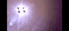 a group of flies are flying in the air with a purple background