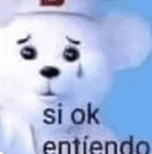 a white teddy bear is wearing a hat and crying with the words `` si ok entiendo '' .