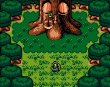 Zelda Tree GIF - Zelda Tree GIFs