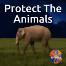 animals protect animal extinct endangered elepant poaching
