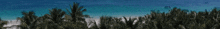 the first official 5 stars beach certification is written on a banner
