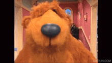 bear in the big blue house what%27s that smell bear sniff sniffing