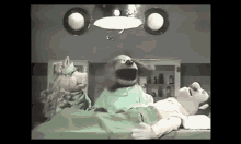 The Muppets Doctor GIF - The Muppets Doctor Operation GIFs