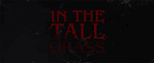 In The Tall Grass Netflix GIF - In The Tall Grass Netflix GIFs