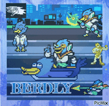 a picture of a video game with the name berdily